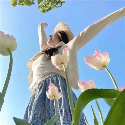 家有儿女4 排行